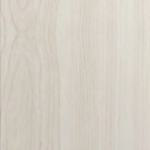 عكا البيضاء